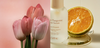 Let's go Vegan with Whitening Skin Care from V'ethic
